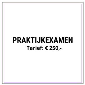 Praktijkexamen