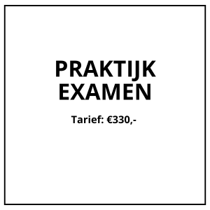 Praktijkexamen
